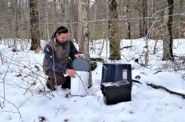 研究人员大卫·摩尔在森林地区收集山毛榉树的汁液. 雪覆盖着大地. David crouches next to a bucket.